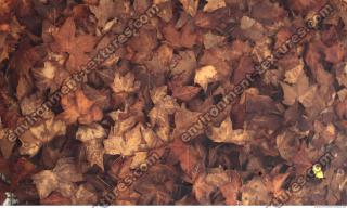 Photo of Mixed Barcelona Textures